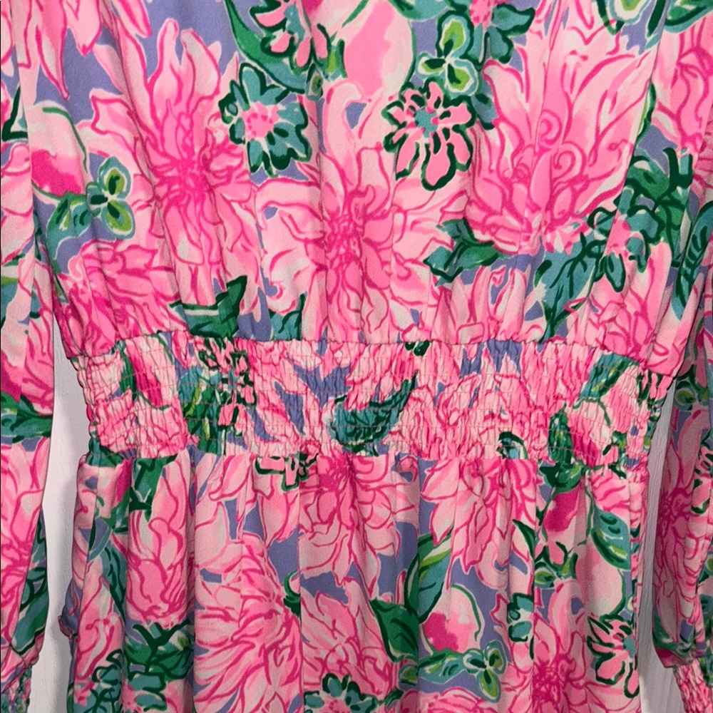 LIKE NEW! Lilly Pulitzer Cristiana Dress! - Picture 7 of 14